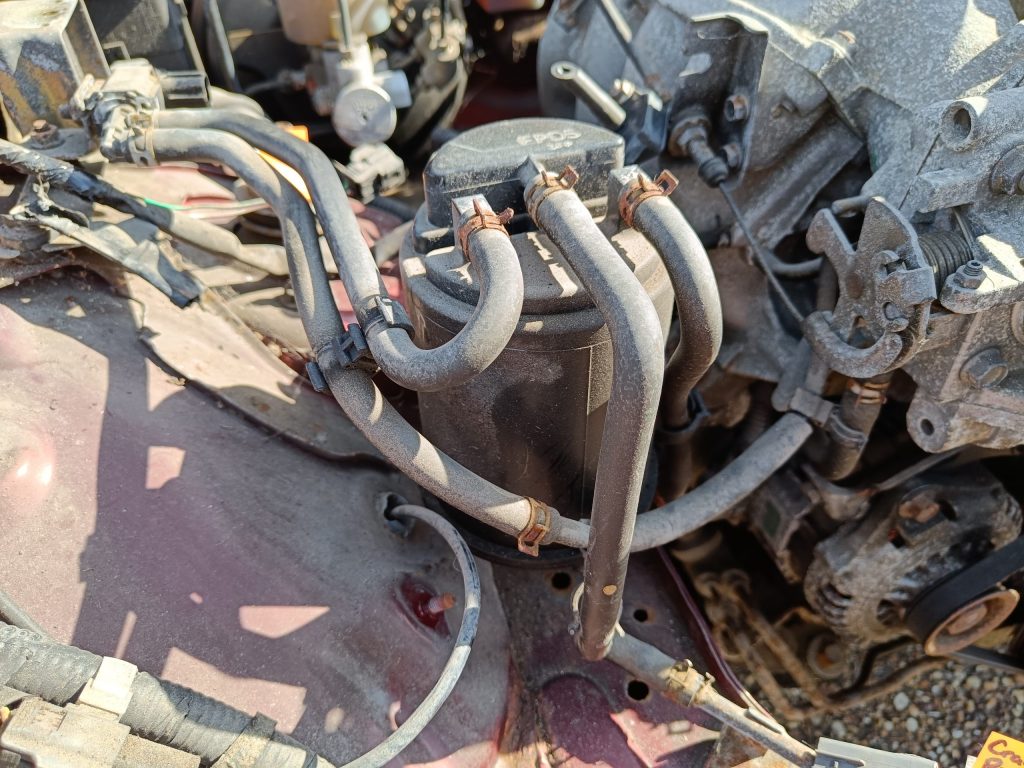 Image of EVAP system in engine bay.