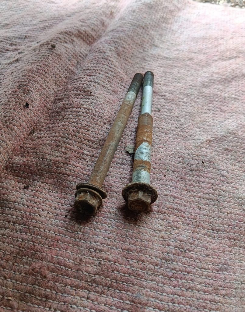 Image of removed PPF bolts.
